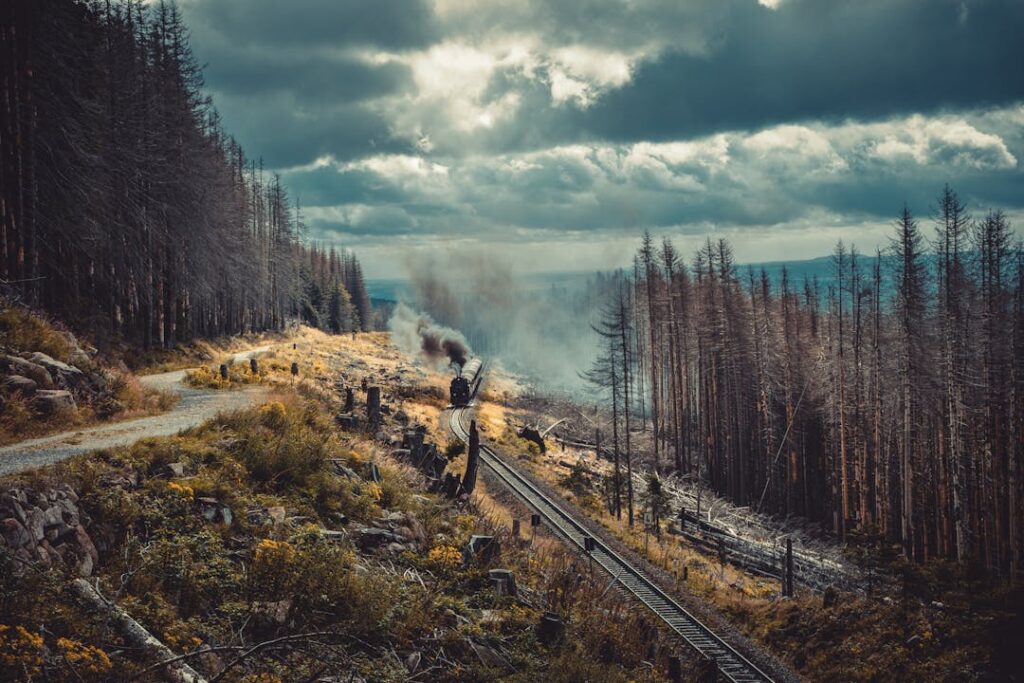 Steam train travels through misty Harz forest, offering a scenic journey amidst dark clouds.
