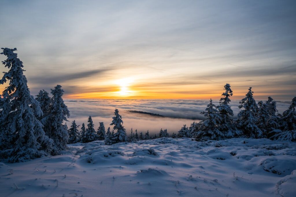 Breathtaking view of a snowy landscape and trees with a golden sunrise above the clouds at Brocken, Germany.