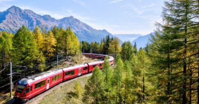 red and white train near trees during daytime