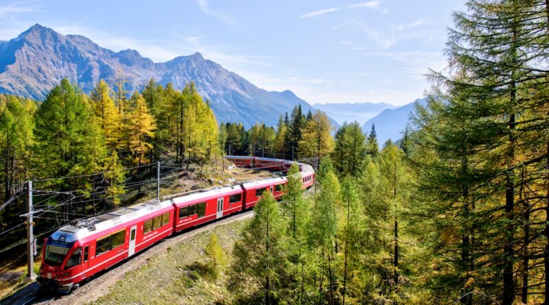 red and white train near trees during daytime